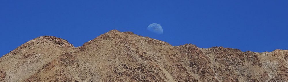 International Association for Ladakh Studies (IALS)