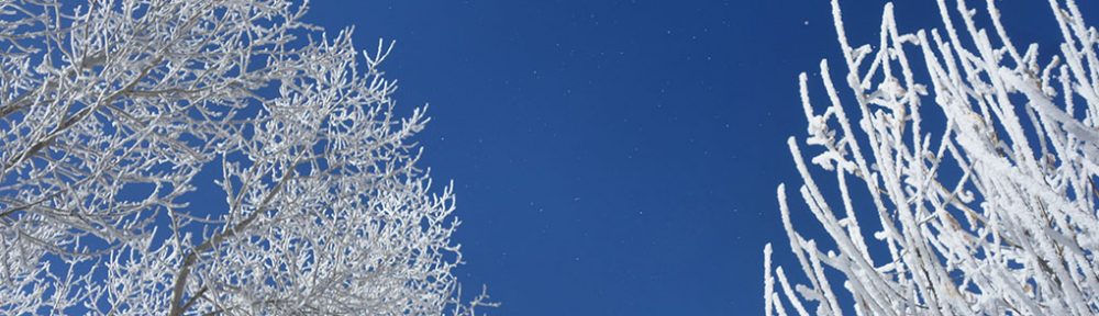 International Association for Ladakh Studies (IALS)